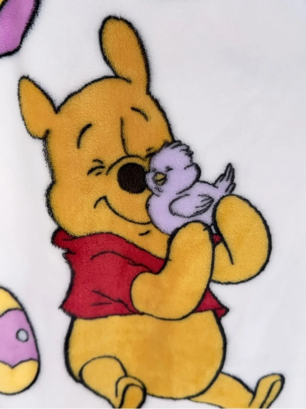 Disney Winnie The Pooh Plush Throw Blanket Easter Eggs Chick Print 50x70 Soft